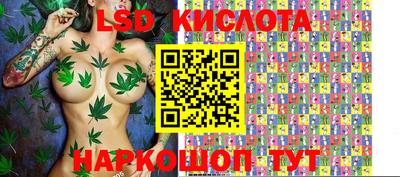 бошки Новозыбков