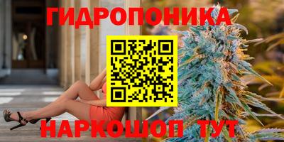 бошки Новозыбков