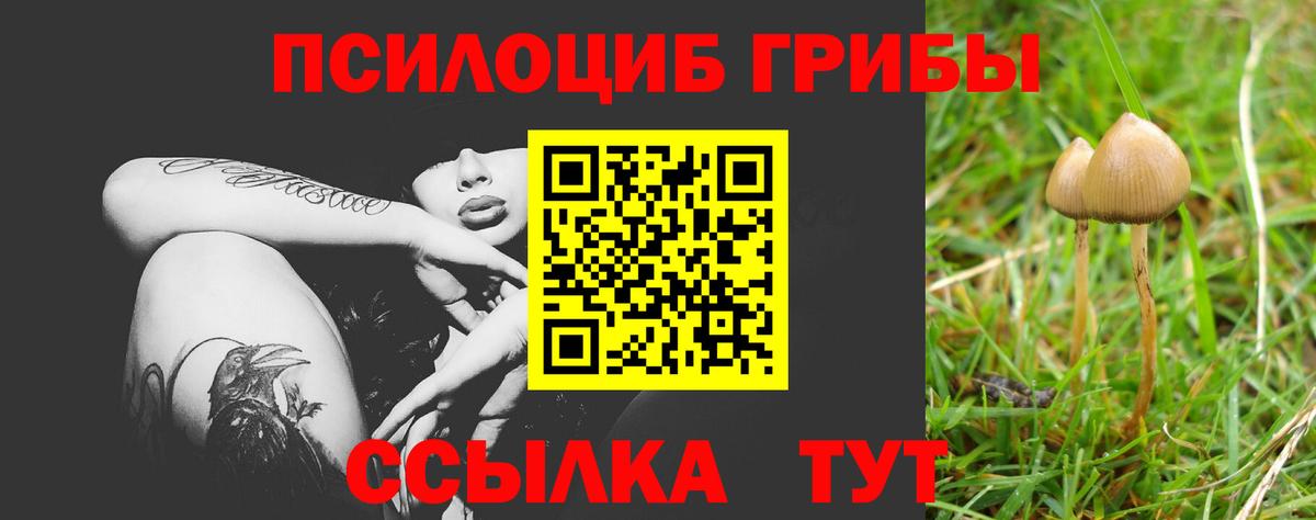 Серов  хочу   Вход с VPN  Псилоцибиновые грибы GOLDEN TEACHER 